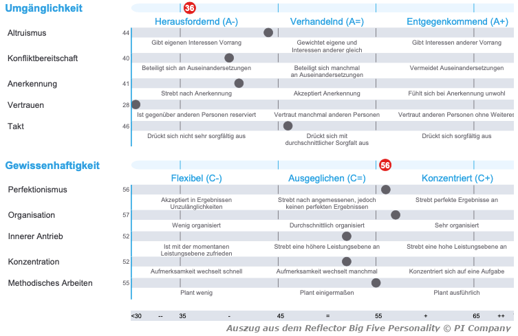 Auszug Reflector Big Five Personality