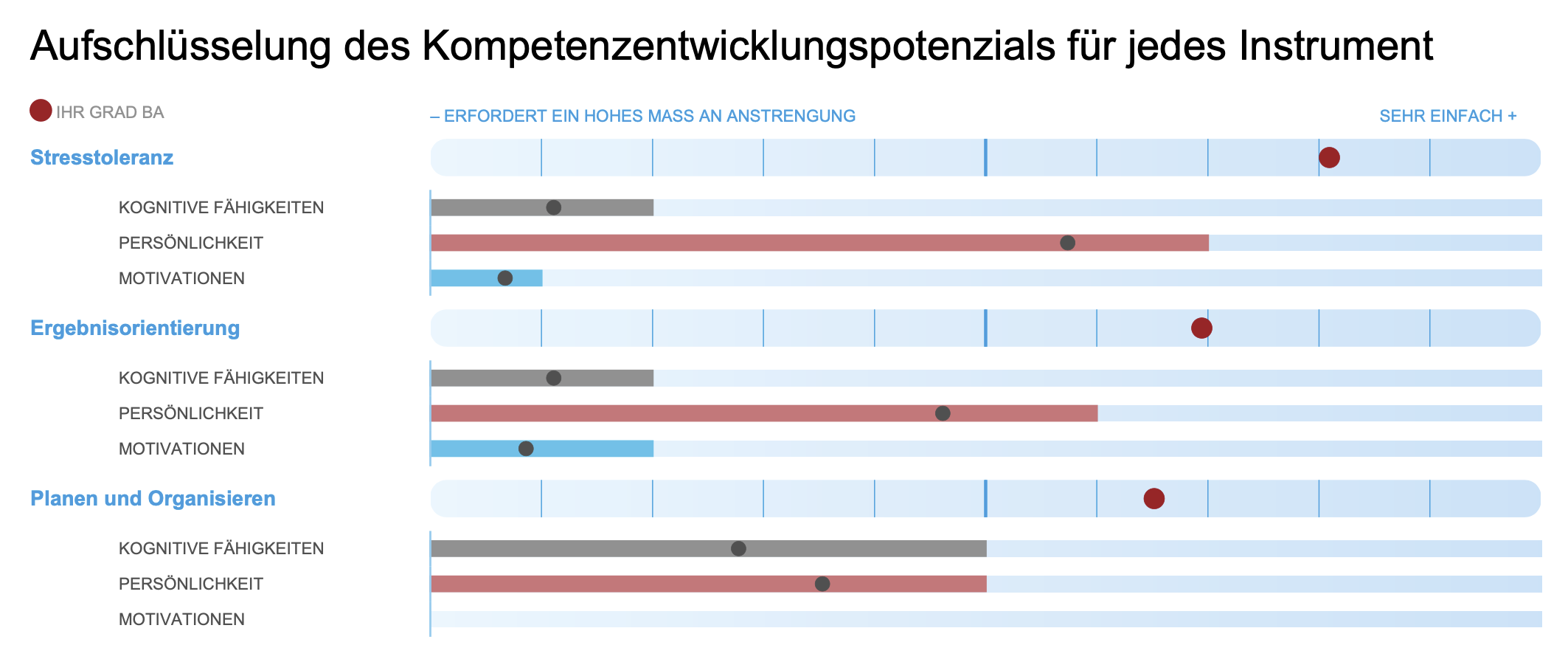 Talent Match - Darstellung Kompetenzen